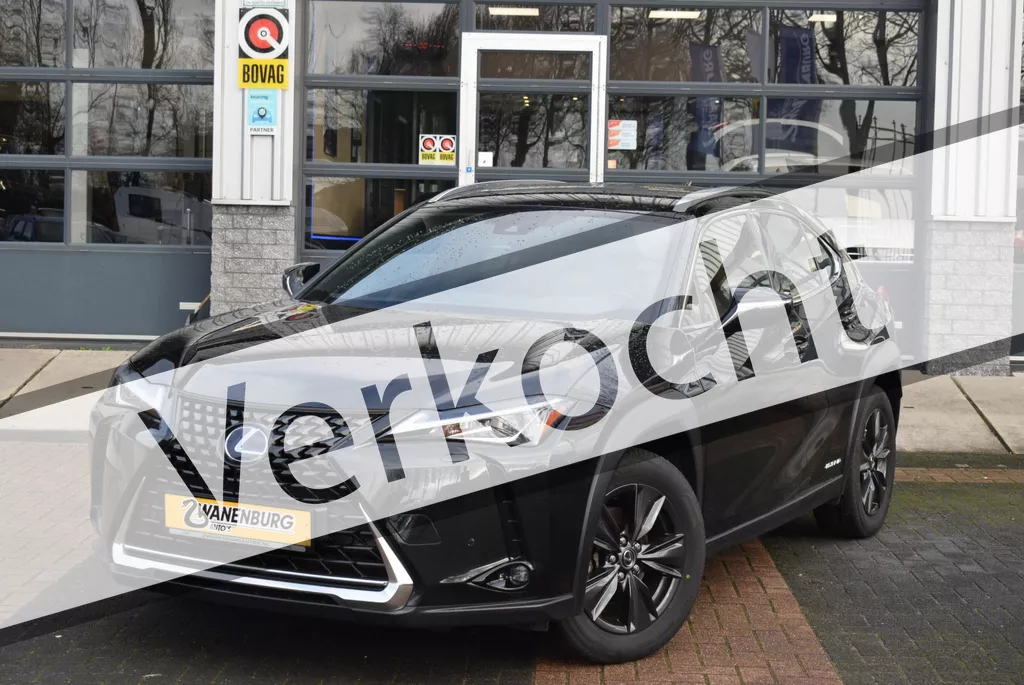 Lexus UX 250h Luxury Line Navi Camera Leder Airco Km 58.750!!